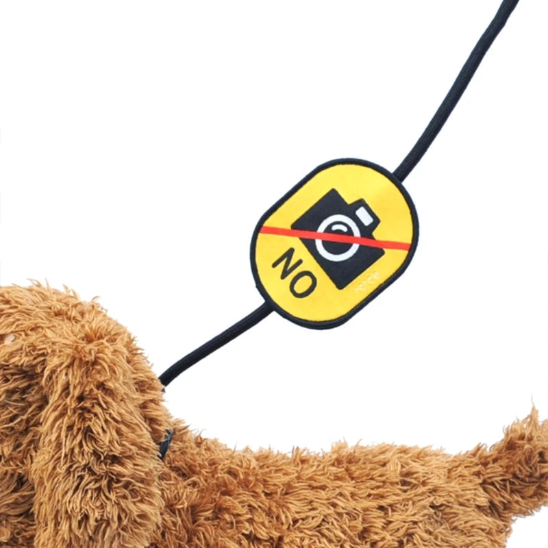 the TAILTAG DECALS - Pet Dog Social Identity Decals, Combining Waterproof and Tear Resistant Features Perfect for Pet Gatherings and Outings