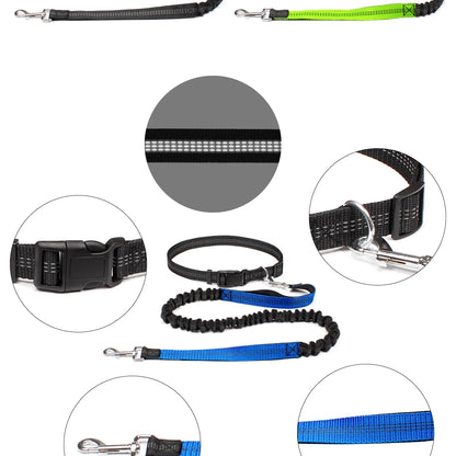 the FLEXRUN HANDS-FREE LEASH - Hands-Free Dog Leash for Pet Walking/Running/Jogging, Adjustable Dog Leash Waist Belt/Chest Strap Traction Rope, Dog Accessories