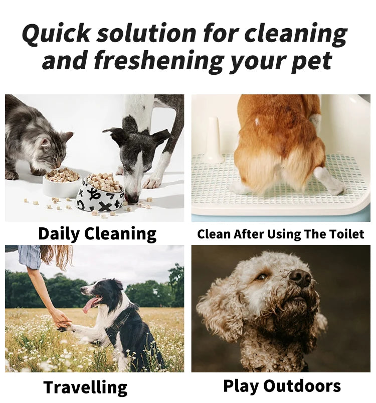 the GRAPE SEED OIL WIPES - 80PCS/Pack Pet Wipes, Disposable Pure Water Formula Pet Care, Dog and Cat Health Cleaning Deodorizing Wipes, Single-Use