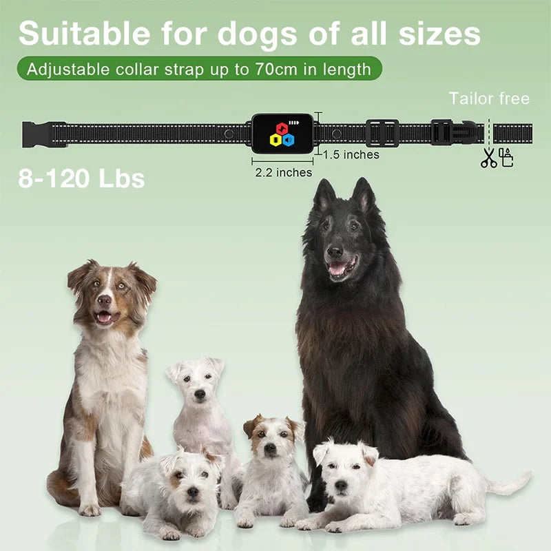 the DOG TRAINER - 1000m Electric Dog Training Collar, Pet Remote Control Type-C Backlight Display Shock Vibration Sound Collar with Security Lock