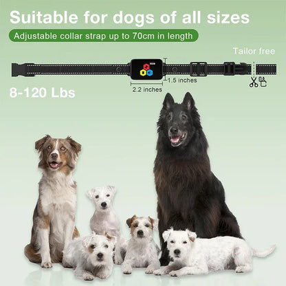 the DOG TRAINER - 1000m Electric Dog Training Collar, Pet Remote Control Type-C Backlight Display Shock Vibration Sound Collar with Security Lock