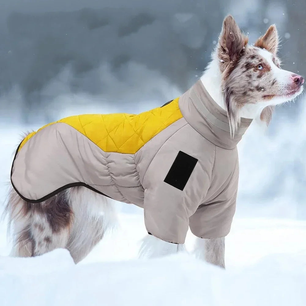 Winter Pet Clothes Golden Labrador Retriever Waterproof Dog Jumpsuit Medium Big Dog, Big Dog Winter Warm Cotton Blend Coat