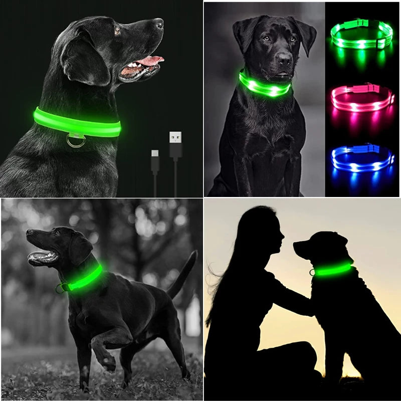 the LUXEGLOW LED SAFTERY COLLAR - USB Charging Glowing Dog Collar with Pendant, Detachable Luxury LED Light, Bright for Small Dogs/Cats, Night Safety Collar