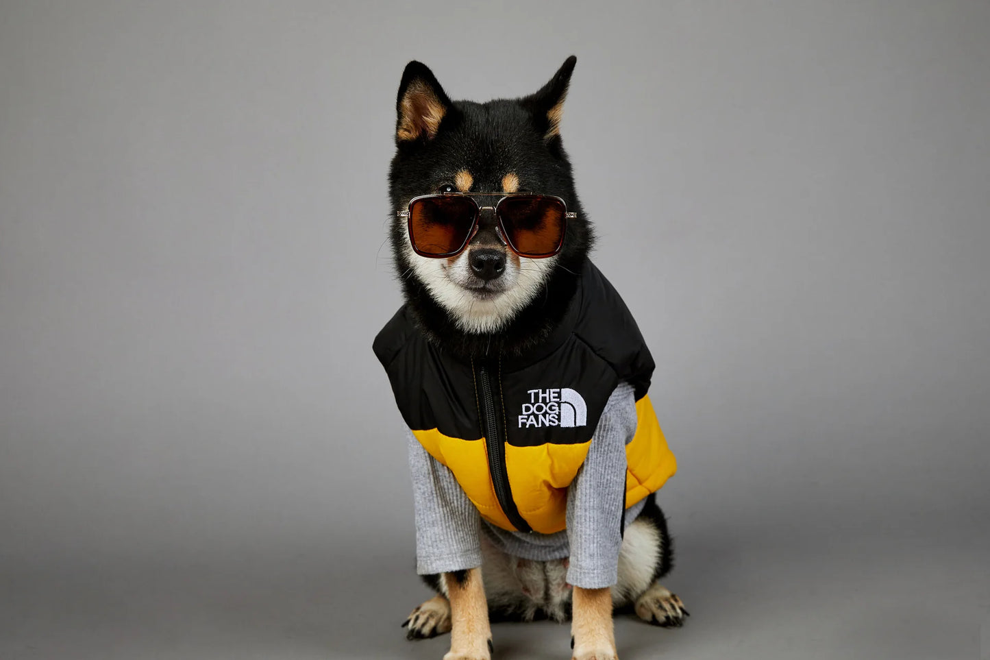 Dog Fans Punch Large Dogs Winter Warm Raincoat Anti Pet Cotton Clothing Windproof Rainproof Dog Coat