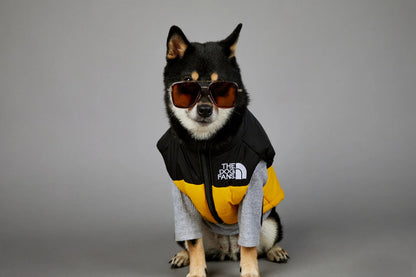 Dog Fans Punch Large Dogs Winter Warm Raincoat Anti Pet Cotton Clothing Windproof Rainproof Dog Coat