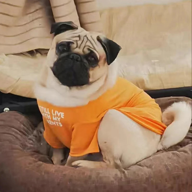 Spring Summer Pet Dog Clothes Round Neck T-shirt for Small Dogs French Bulldog Shiba Inu Puppy Pullovers Letter Print Vest