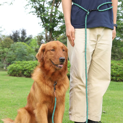 the ACTIVEGLOW HANDS-FREE LEASH - Dog Leash Hands Free Leashes for Dog Walking, Adjustable Dogs Leash, Reflective Dogs Chain Multi-Functional Traction Rope 230cm