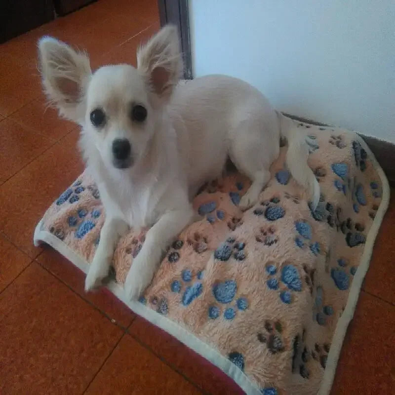 Practical 3 Colors Cute Floral Pet Sleep Warm Paw Print Dog Cat Puppy Fleece Soft Dog Blanket Pet Dog Mattress