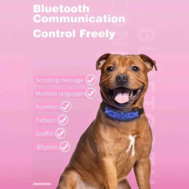 the NIGHTSYNC LED SAFETY COLLAR - LED Pet Collar, App Bluetooth Adjustable Luminous Waterproof Light Up Safety Dog Accessories Collar, Programmable USB Rechargeable