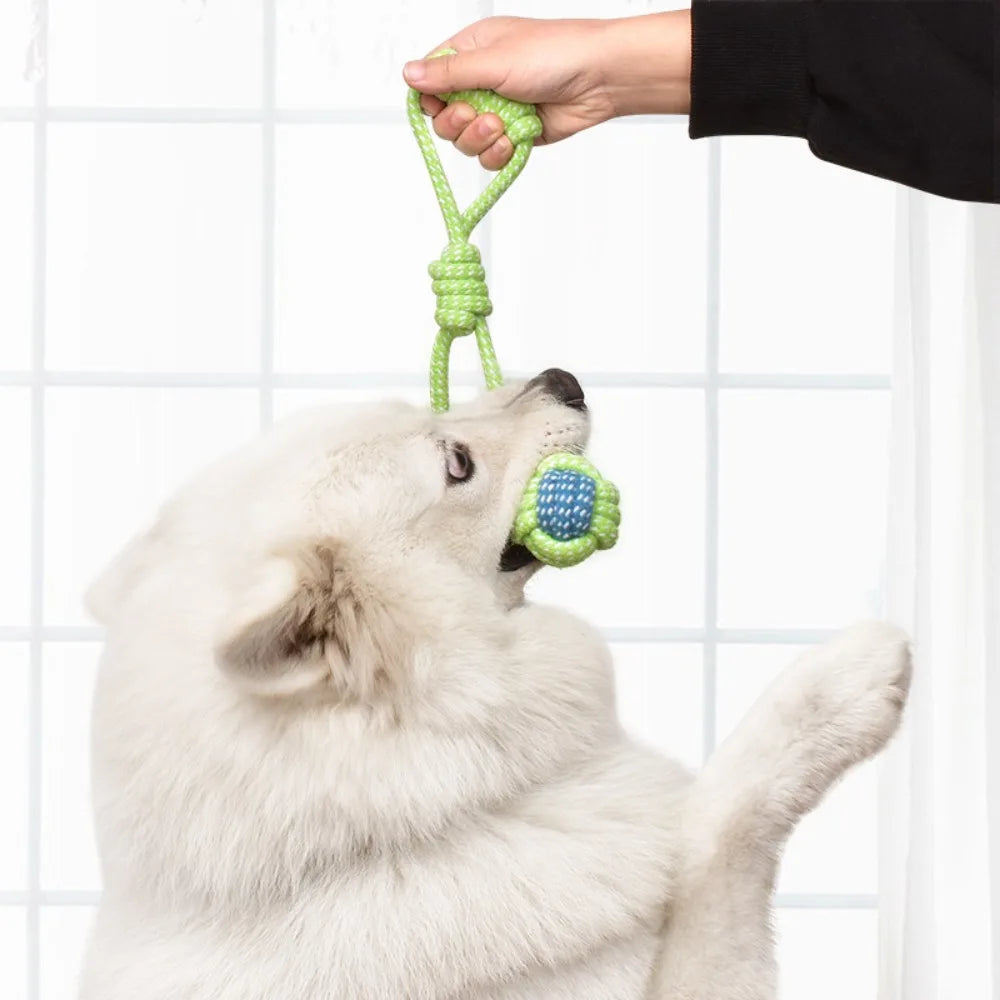 Pet Dog Toys Dog Chew Tug of War Durable Interactive Cotton Rope Toy Suitable for Medium Large Dogs Cleaning Teeth Pet Supplies