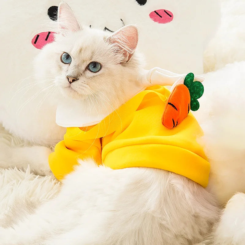 Autumn Winter Pet Dog Warm Clothes Fleece Dog Hoodies Coat with Messenger Bag Chihuahua French Bulldog Pullover Dog Girl Costume