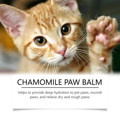 the PAW BALM - Natural Dog Paw Balm, Dog Protections for Hot Pavement, Dog Wax for Dry Paws & Nose, Moisturizer for Cracked Paws