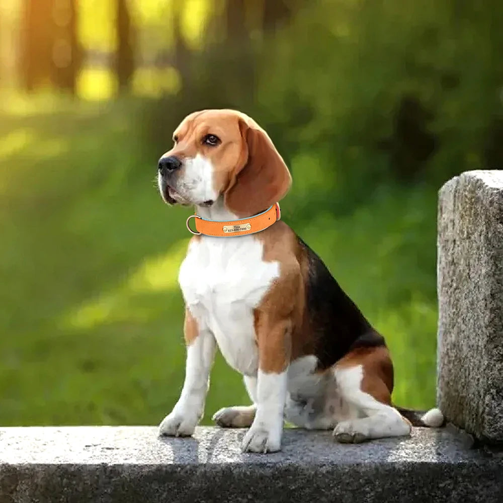 the ENGRAVEPAWS ID COLLAR - Personalized PU Leather Dog Collar, Free Engraved Dog ID Collars, Nameplate Soft Padded for Small/Medium/Large Dogs, Adjustable