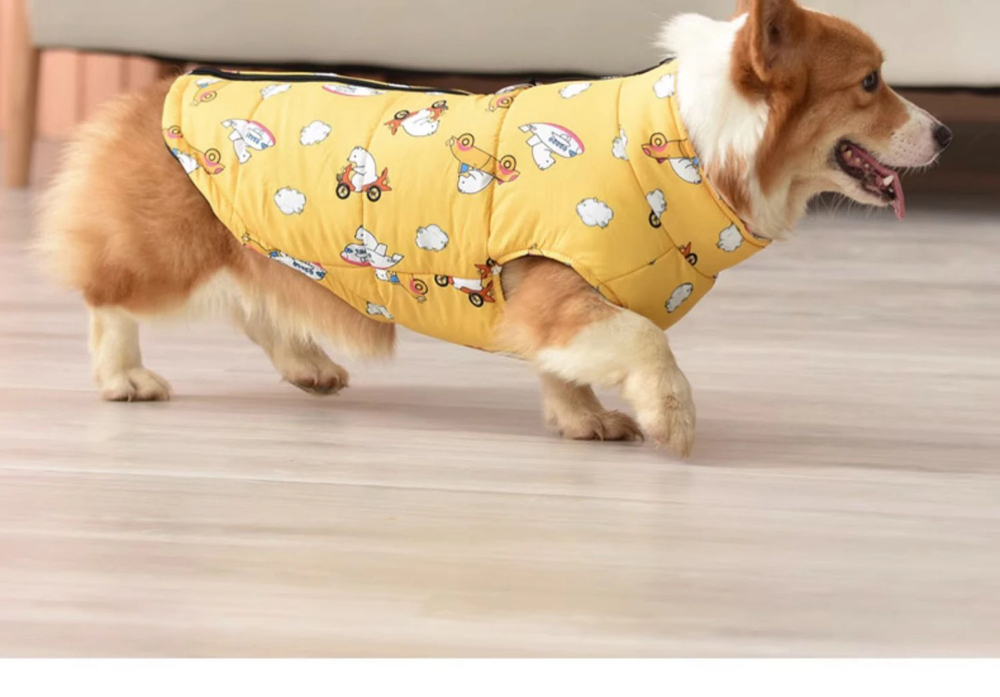 the FROSTCORE DOWN DOG JACKET - Warm Dog Down Jacket, Winter Thickened Dog Clothes, Waterproof Dog Jacket, Medium and Large Dog Clothing, Welsh Corgi Clothing