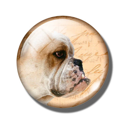 Yellow Brown Dachshund 30MM Fridge Magnet Handmade Weiner Dog Glass DomeRefrigerator Magnets Sticker Cute Animals Kitchen Decor