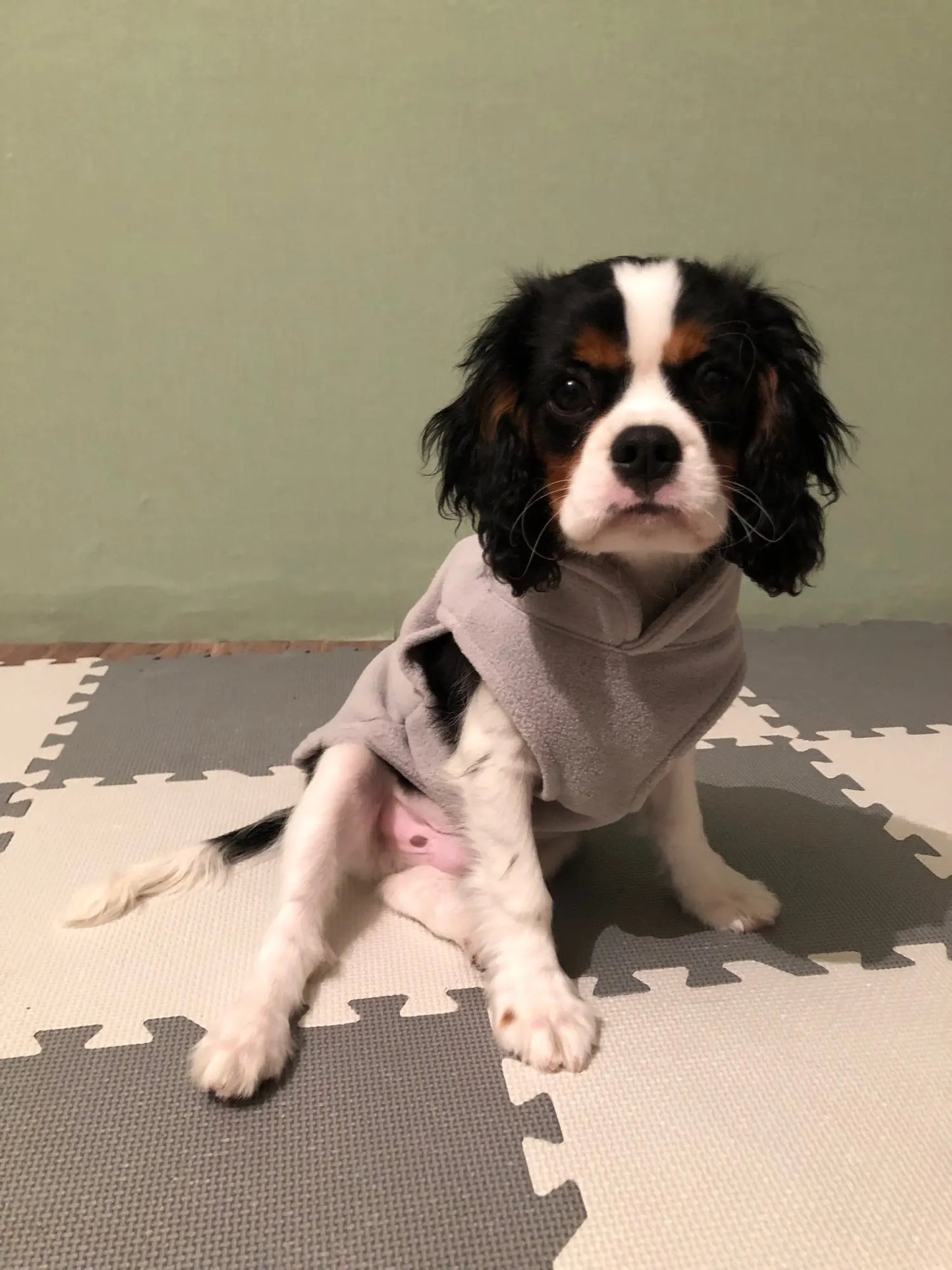 Dog Fleece Vest Chihuahua Winter Clothing For Small Dogs Warm Dachshund Dog Coat For Medium Bulldog Pitbull Maltese Dogs Jumpers