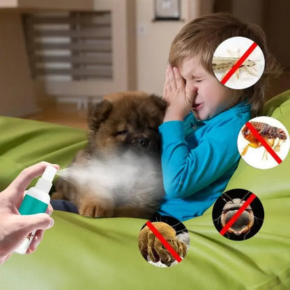 the NO FLEA SPRAY - 100ml Pet Expel Fleas Lice Treatments Spray, Quick and Handy Fleas Ticks Expellant for Dogs/Cats, Pet Health Supplies