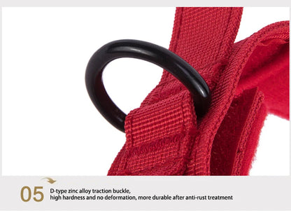 the PATROLPRO COLLAR & LEASH SET - Pet Dog Collar/Leash Set, Nylon Material Durable Dog Collar - Reflective Leash, Pet Tactical Training Dog Collar, Large Dog Leash Set