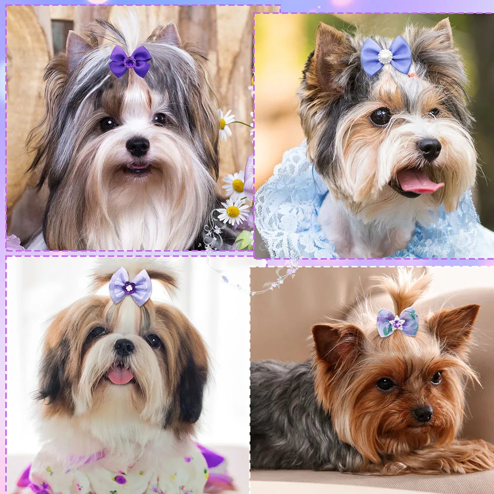 the PRETTY PURPLE BOW - Handmade Puppy Bows, 10/20PCS New Dog Bows with Rubber Bands, Purple Series Dog Bowknots, Pet Hair Accessories for Small Dogs