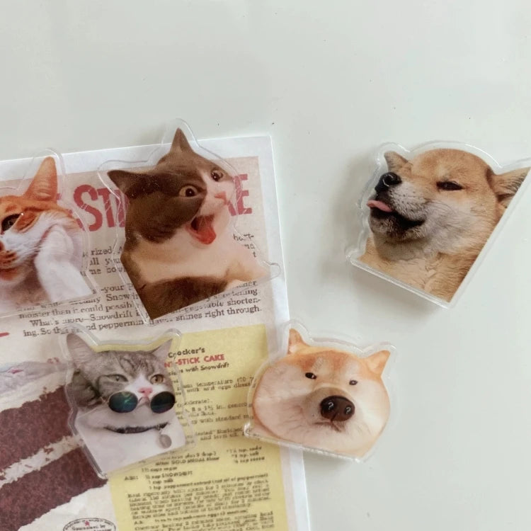 5pcs cute and Fun Cat Dog Refrigerator Magnets Creative Fridge Photo Message Magnet Decorative