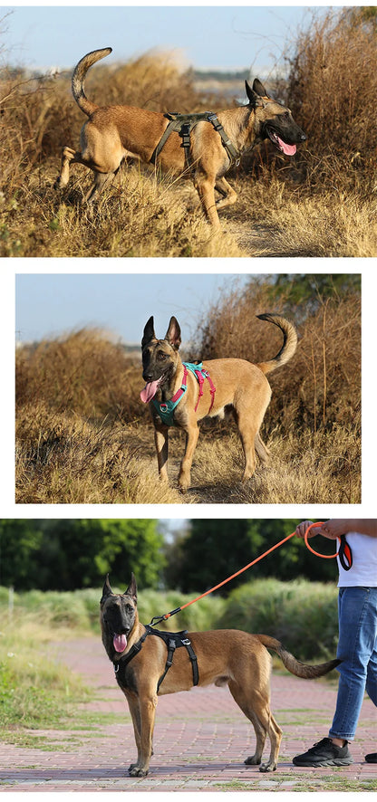 Truelove Escape Proof Pet Harness No Pull Reflective Adjustable Soft Padded Pet Vest Service Dog Harness Handle Climbing TLH7011