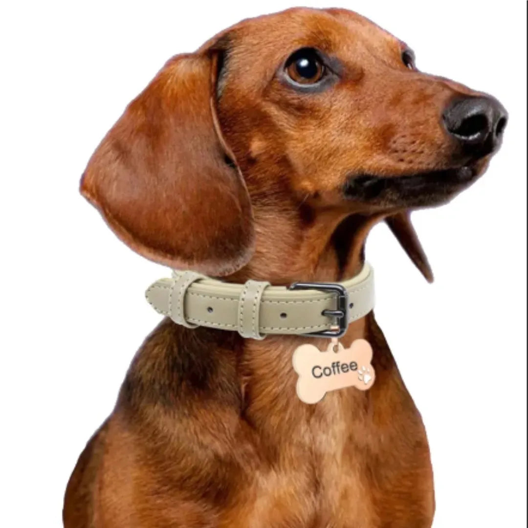 Personalized Dog Tag Stainless Steel Custom Engraved Bone Dog Charm For Pet Collar Dog Id Name Tag Gift Pendant Supplies Jewelry