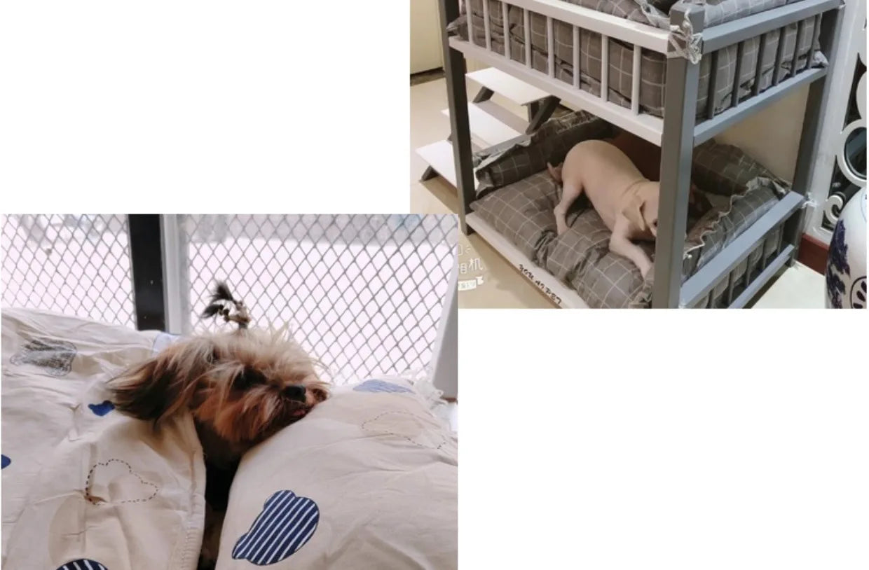 the DOGGY BUNKBED - Dog Bed, Solid Wood Princess Bed, Dog/Cat Under Pet Bunk Bed, High and Low Off the Ground Moisture-Proof Cat Kennel/Dog Kennel
