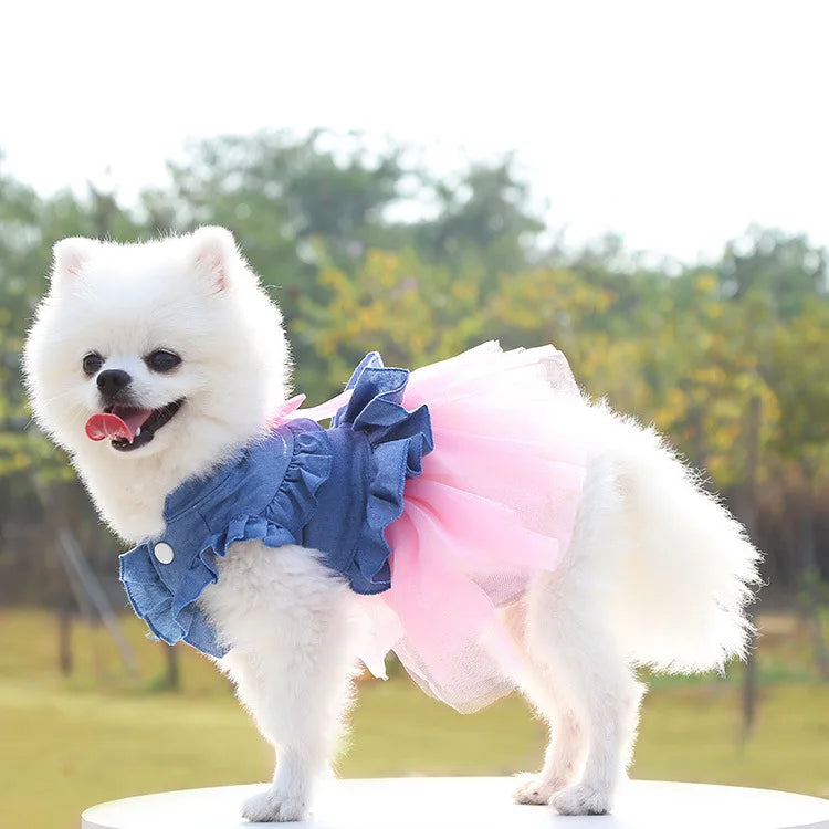 Summer Dog Clothes Pet Dresses for Small Dogs Pomeranian Chihuahua Puppy Kitten Skirt Clothing for Medium Dogs Product Supplies