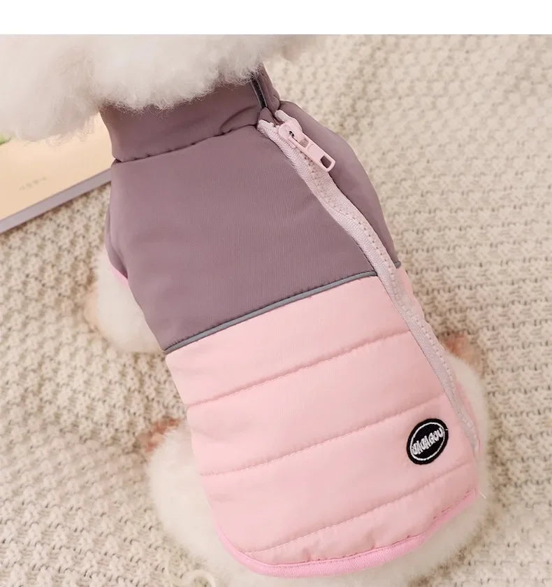 The Dog's Clothes Are A Small Cotton Vest with A Zipper, Similar To A Yorkshire Terrier or Dachshund Pet Clothing.