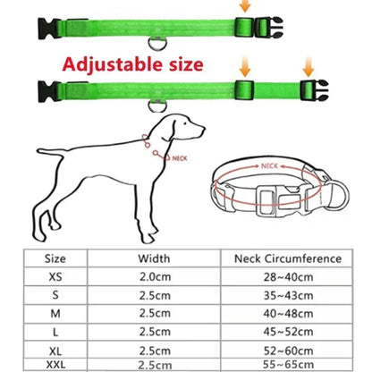 the LUMAGLOW ANTI-LOST COLLAR - LED Glowing Dog Collar, Adjustable Flashing Rechargeable Luminous Collar, Night Anti-Lost Dog Light Harness for Small Dog, Pet Products