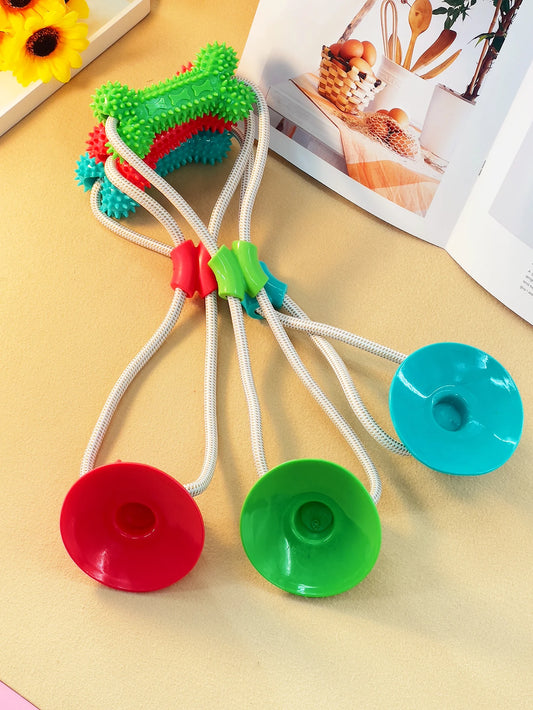 A TPR dog gnaws on a toy sucker bottom bone and grinds its teeth with a bite-resistant training stick