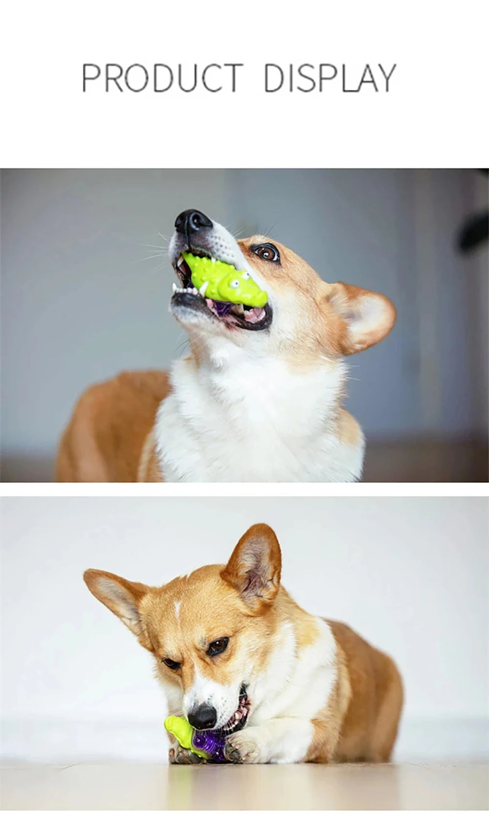 GIGWI Suppa Puppa Series Q Pet Toys Kitten Crocodile Fox Raccoon for Puppy Molar Sounding Toys Bite Resistance Dog Accessories