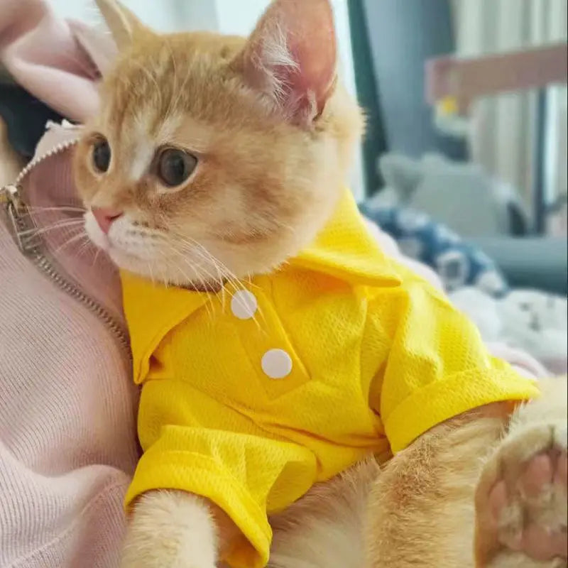 the CANDYPAW COOL TEE - Summer Pet Vest, 6 Candy Color Shirts, Puppy Breathable Solid Polo-Shirts, Chihuahua/Yorkie Fashion Vests, Dog Costume, Pet Clothing