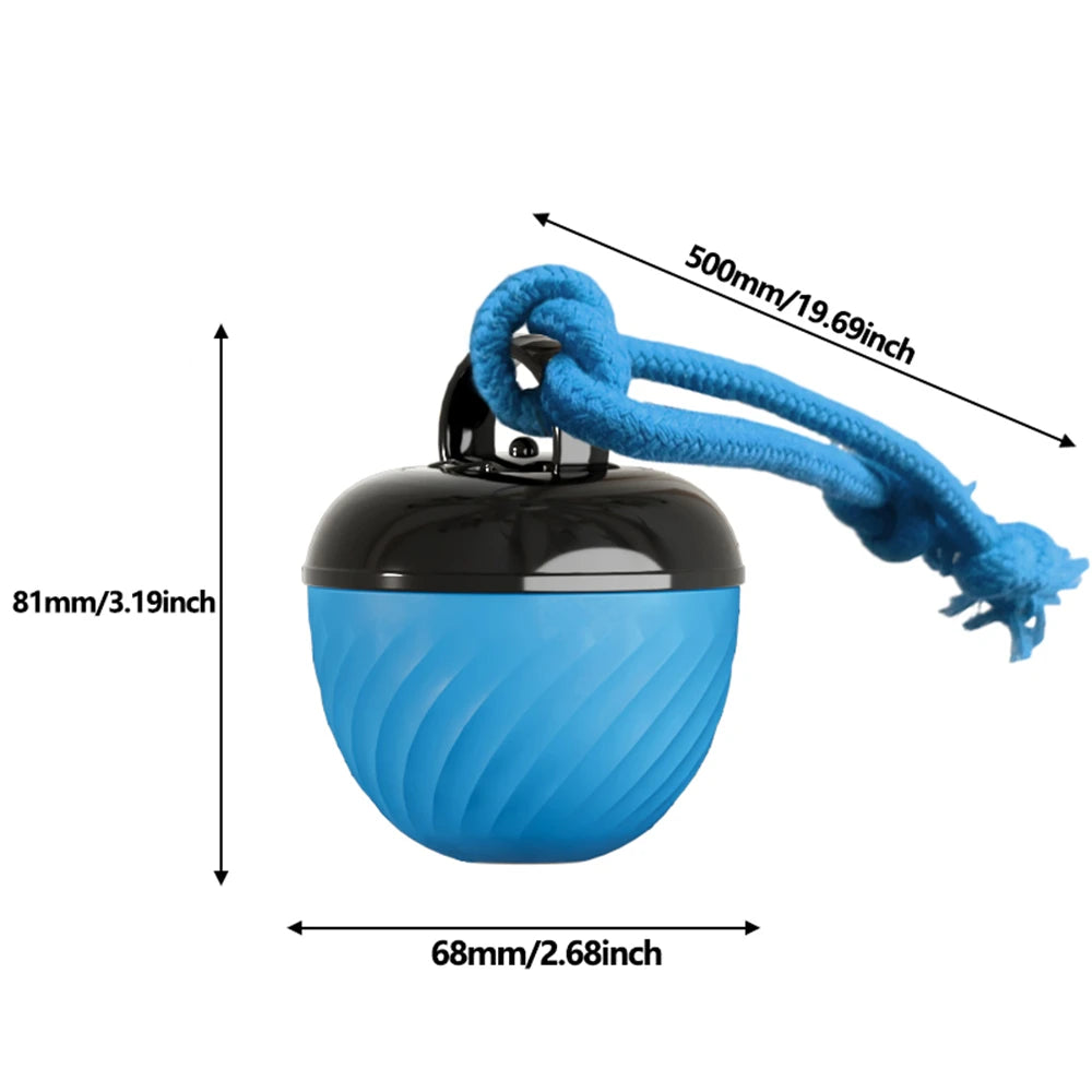 Pet Ball for Dogs Interactive Toys Motion Activate Rolling Ball for Puppy/Small Dogs Automatic Moving Toy USB Rechargeable Toy