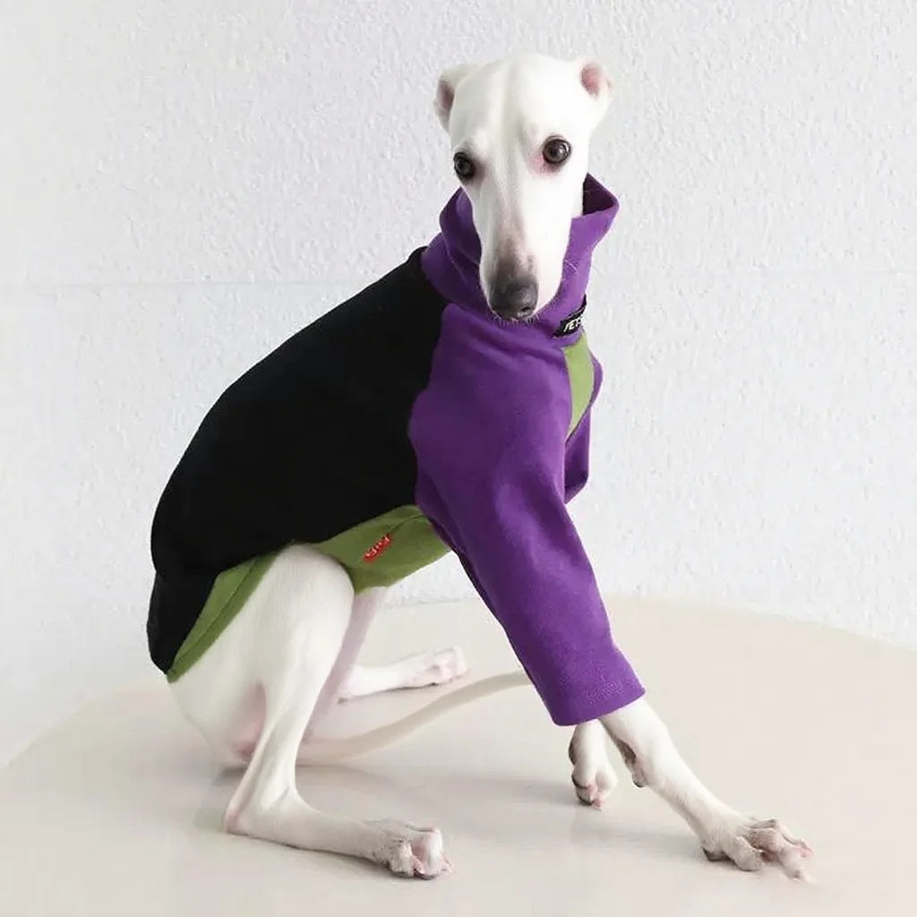 8colors Italian Greyhound Hound Two-Legged Clothes Fashionable Multicolor Soft Comfortable Elastic Fashion Patchwork Dog Clothes