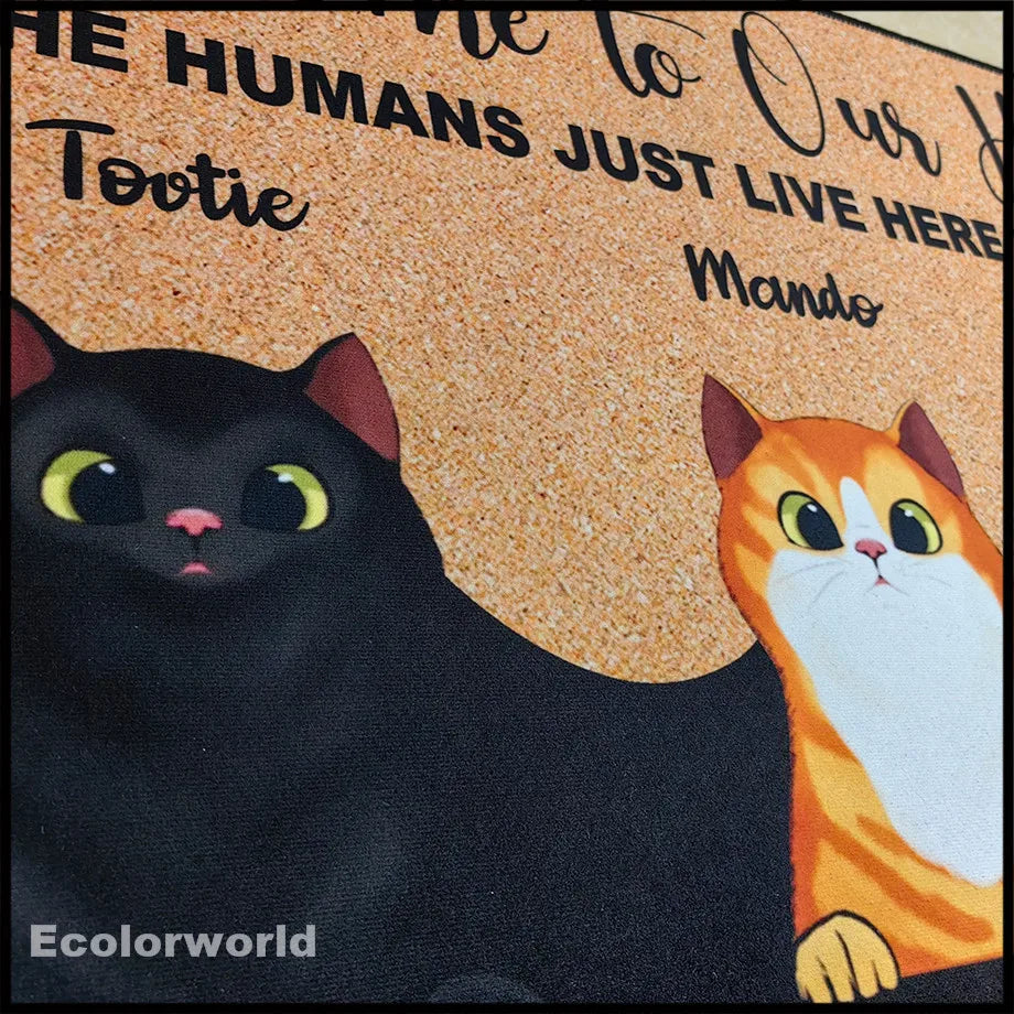 Personalized Pets Cartoon Mat Custom Dog Cat Name Doormat Rug Welcome To Our Home Floor Mats Carpet Home Decor Accessory Gift