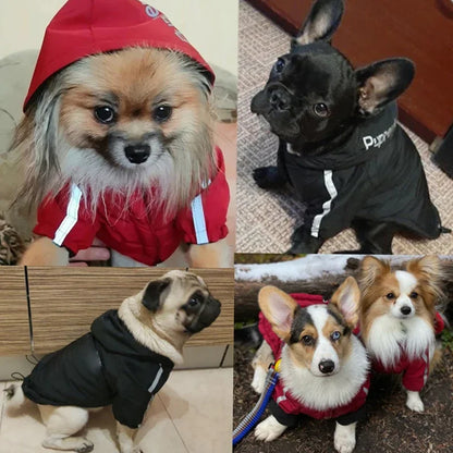 Pet Dog Waterproof Coat Reflective Puppy Warm Cotton Jacket Autumn Winter Hoodie Clothing For Dogs Cats Clothes