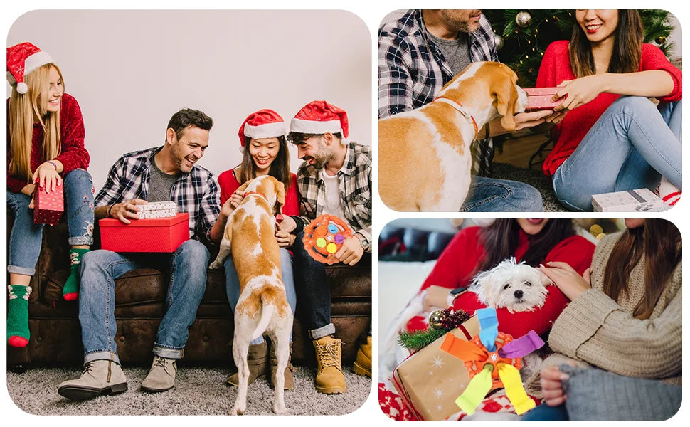 Dog Interactive Toy Colorful Tug Chew Ball with Treat Hiding Ropes, Beef Flavor, Fun Sound Play, Pet Training Stress Relief