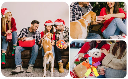 Dog Interactive Toy Colorful Tug Chew Ball with Treat Hiding Ropes, Beef Flavor, Fun Sound Play, Pet Training Stress Relief