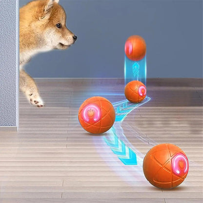 Automatic Rolling Ball Dog Toy - USB Rechargeable Interactive Dog Ball with LED Light, Self-Moving Indoor Play Toy for Puppy Dog