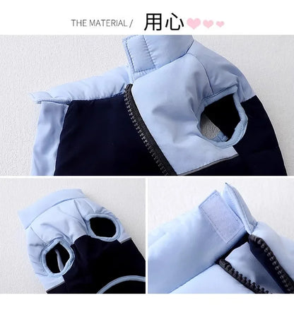 The Dog's Clothes Are A Small Cotton Vest with A Zipper, Similar To A Yorkshire Terrier or Dachshund Pet Clothing.