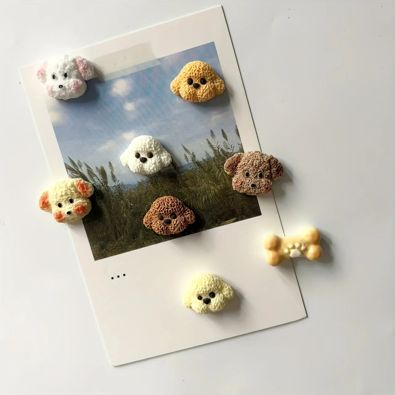 Resin refrigerator stickers of cute little dogs and cats, animal heads with magnets, lovely magnets as gifts and presents.