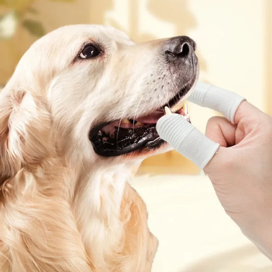10 Pcs Pet Finger Soft Toothbrush Finger Sleeve Brushes Remove Tartar Cochlear Clean for Dog Cat Toothbrush Pet Oral Care