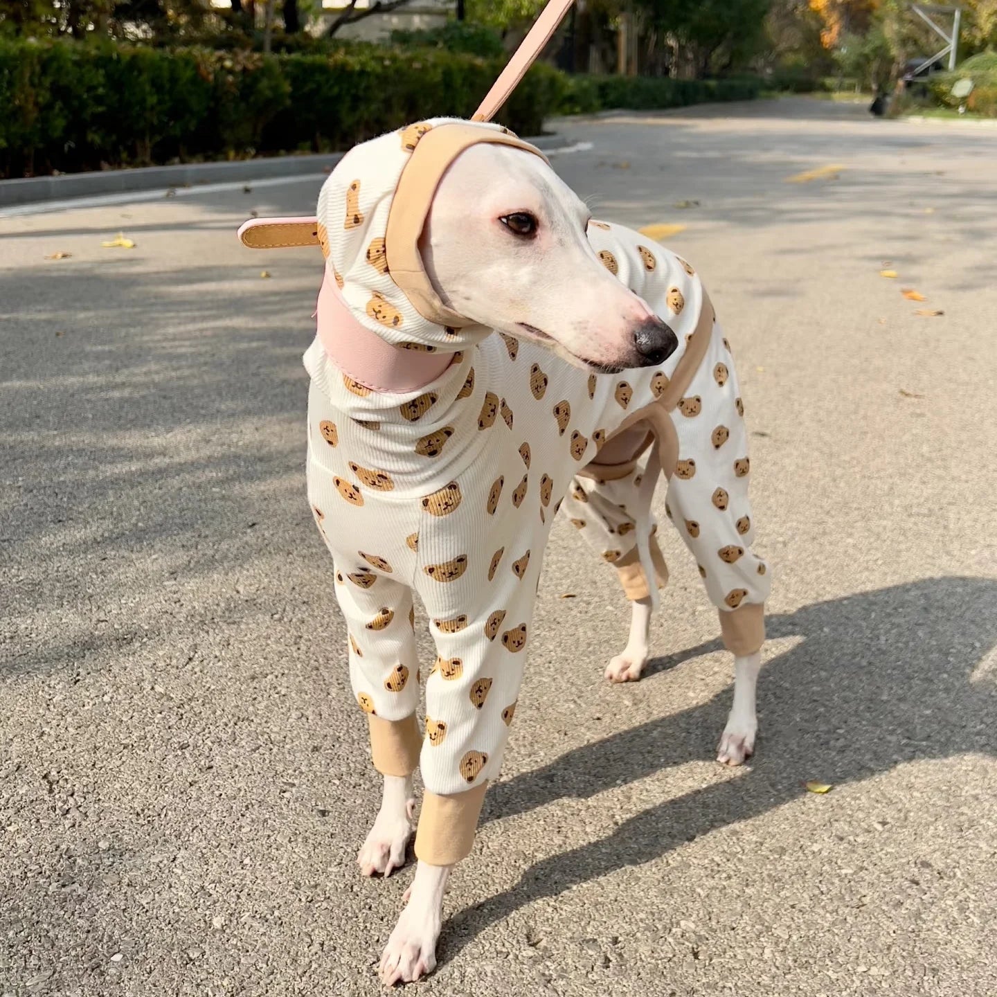 Summer Cartoon T-shirt for Italian Greyhound Breathable Khaki Cotton 4-legged Jumpsuit for Dogs Soft Coat for Whippet in Spring