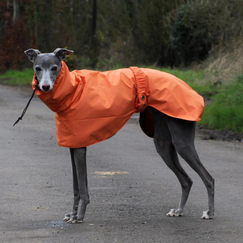 the DOBBIN DOG - Spring and Autumn Outing Breathable and Comfortable Dobbin Dog Clothes, Casual Warm Pet Raincoat Leisure Dog Cloak Raincoat