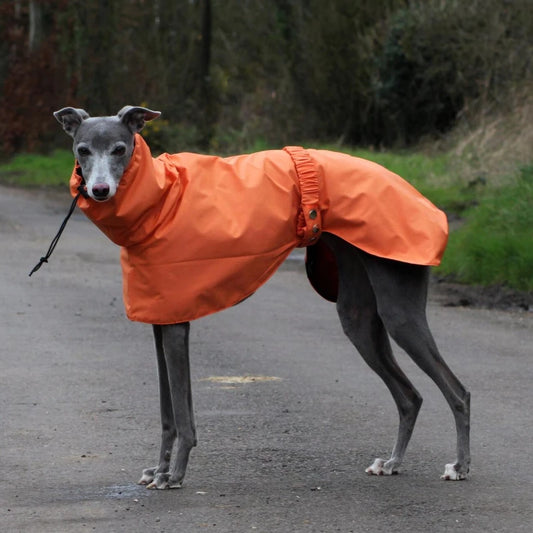 the DOBBIN DOG - Spring and Autumn Outing Breathable and Comfortable Dobbin Dog Clothes, Casual Warm Pet Raincoat Leisure Dog Cloak Raincoat