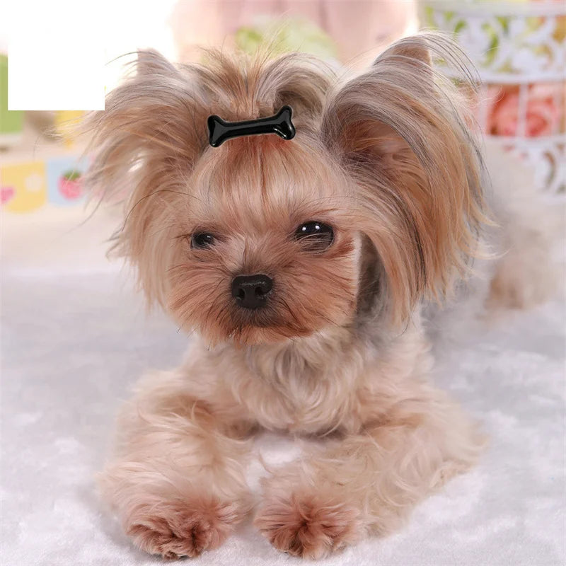 the PAWCHARM BONE HAIR CLIP - New Dog Hairpin Puppy/Kitten Bone Hair Clips, Cute Duckbill Clip, Pet Hair Accessories, Pet Hair Grooming, Dog Accessories