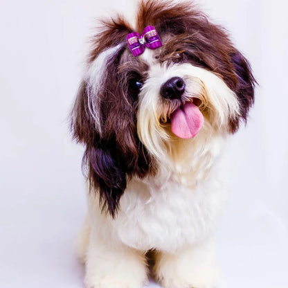 20pcs Pet Dog Cute Hair Bows with Rhinestone&Flowers Ribbon Bows Dog Hair Accessory Dog Groomining Pet Supplies