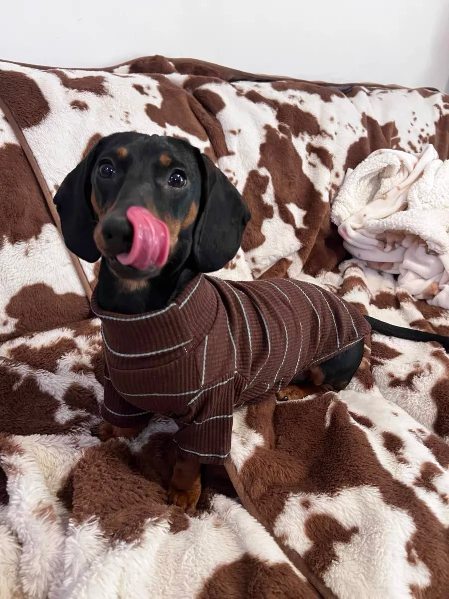 Brown Stripe 2-legged Dachshund Dog Clothes Warm Elastic Sweater for Wiener Dog Clothes Spring Dog Costumes for Sausage