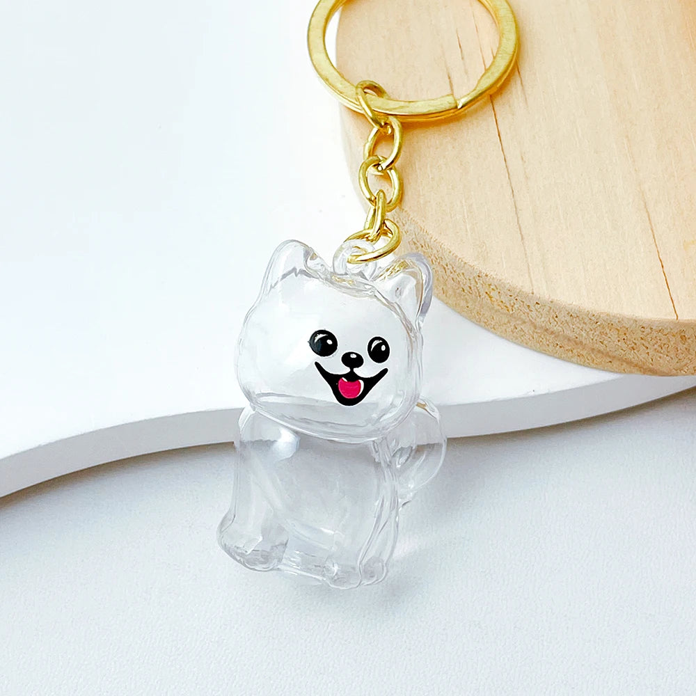 5pcs Dog Hair Storage Keyring Cute Pet Transparent Keychain Bag Car Interior Decoration Pendant Souvenir For Family Members